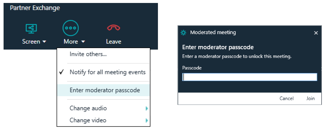 Video Conference   Moderator Controls